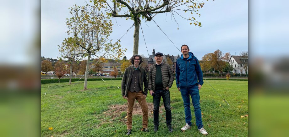 Drei Männer stehen vor Bäumen in einem Sportpark